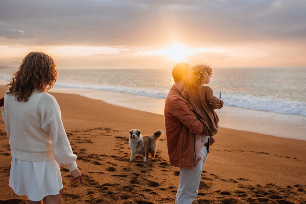 plage des Cavaliers à Anglet, dunes et grand espace de sable